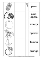 AB-fruit-Zuordnung 2.pdf